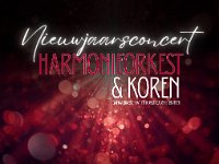 260125 nieuwjaarsconcert 01