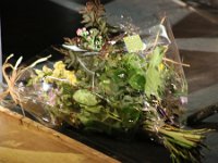 260125 nieuwjaarsconcert 80